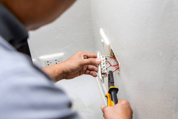 Best Electric Panel Repair  in Joshua, TX